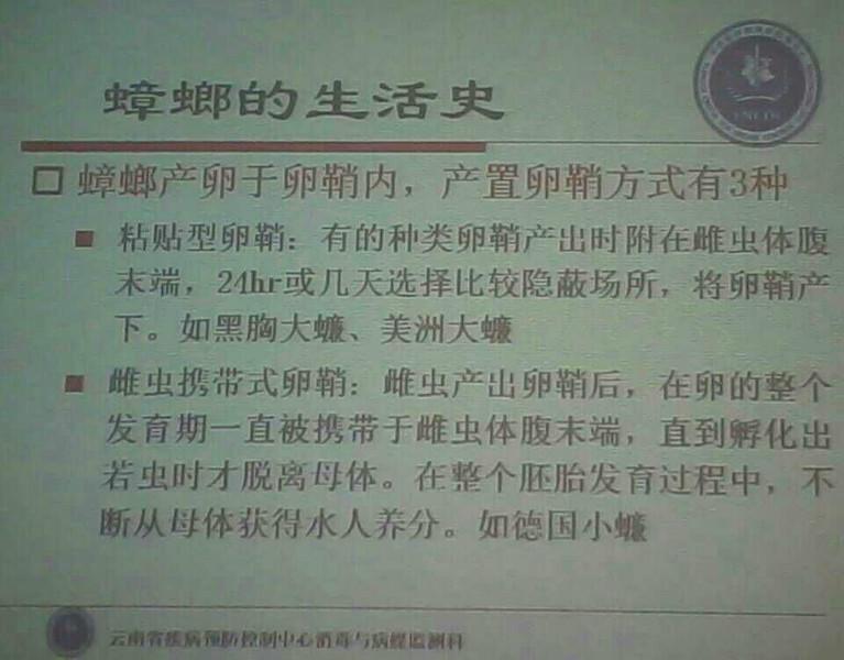 供應(yīng)盤(pán)龍區(qū)滅四害公司-昆明市盤(pán)龍區(qū)滅四害公司- 昆明盤(pán)龍區(qū)滅四害公司