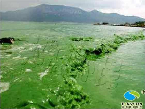 邦源環(huán)保藍藻治理與你共建美麗中國圖片