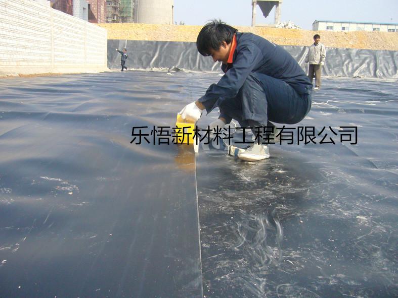 藕池防滲膜防滲膜廠家圖片