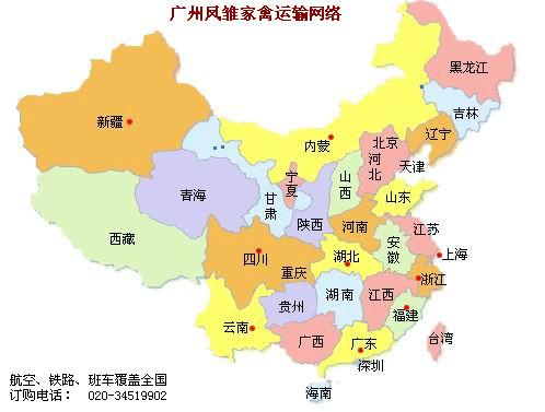 供應(yīng)優(yōu)質(zhì)白番鴨苗