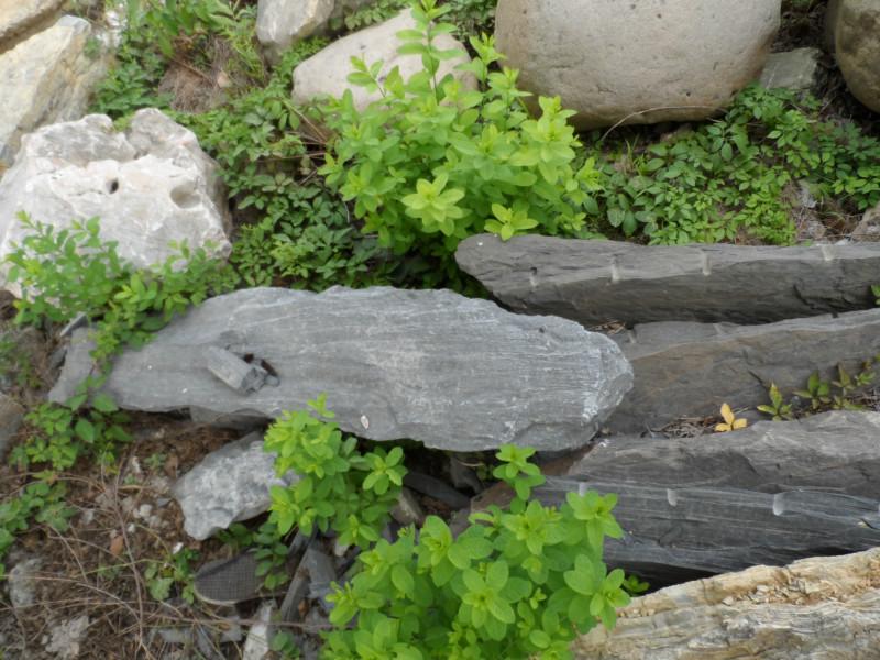 供應(yīng)上海奉賢斧劈石價格，上海奉賢斧劈石假山制作公司上海奉賢斧劈石批發(fā)