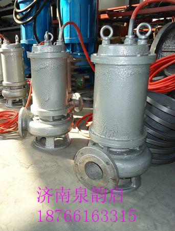 供應(yīng)wunibeng污泥泵