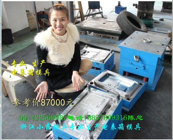 供應(yīng)浙江PC電表箱9表位電表箱外殼模具應(yīng)