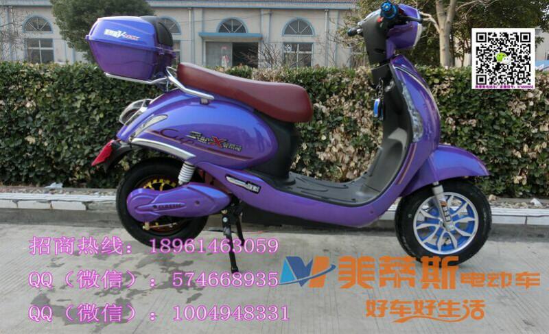 供應小海豚電動車批發(fā)，48V60V電摩電機一鍵通修復