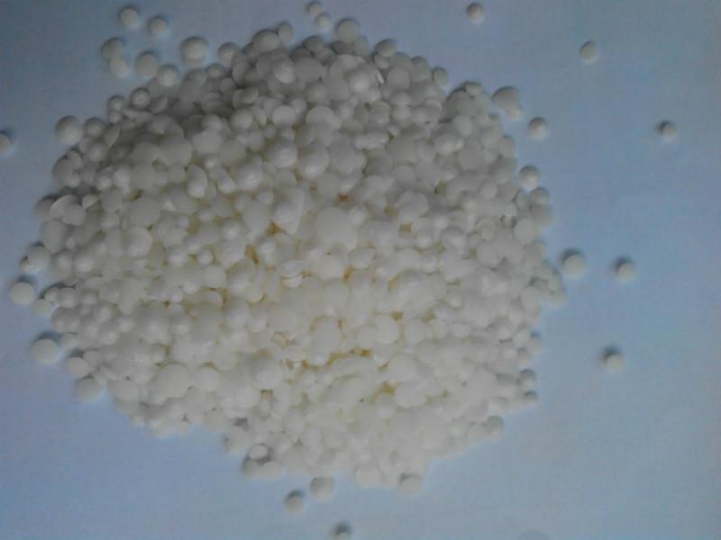 石蠟圖片/石蠟樣板圖 (3)