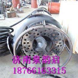 供應(yīng)生產(chǎn)ZNQ型潛水抽砂泵