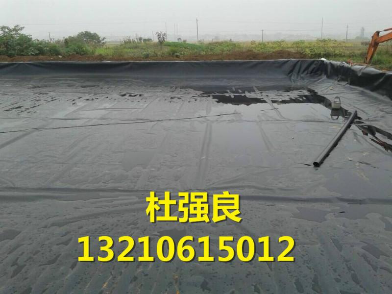 供應0.35地膜廠家-防老化-水產養(yǎng)殖膜_水產養(yǎng)殖膜_0.35地膜廠家