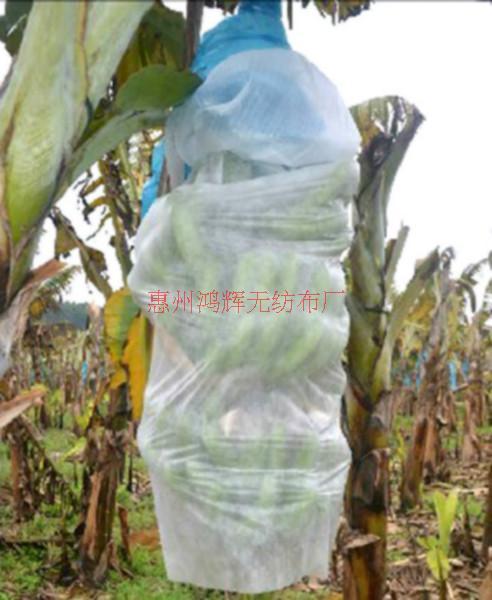 供應(yīng)用于農(nóng)用 高速用|農(nóng)田的香蕉套袋用無(wú)紡布，惠州鴻輝無(wú)紡布廠專業(yè)生產(chǎn)農(nóng)業(yè)用無(wú)紡布
