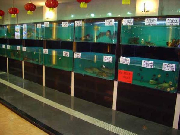 供應海鮮池訂做海鮮池設計海鮮魚池安裝