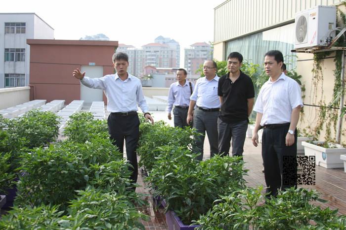 东莞土壤自动调湿节能种植箱你约吗图片