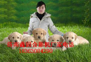 供應滄州*拍*攝影機好嗎