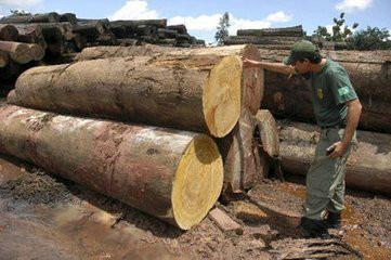 供應(yīng)上海木材進(jìn)口申報(bào)流程應(yīng)美瑞邇專注于木材進(jìn)口清關(guān)、木材進(jìn)口申報(bào)、木材進(jìn)口報(bào)檢、木材進(jìn)口清關(guān)報(bào)關(guān)、木材進(jìn)口倉儲(chǔ)物流為服務(wù)