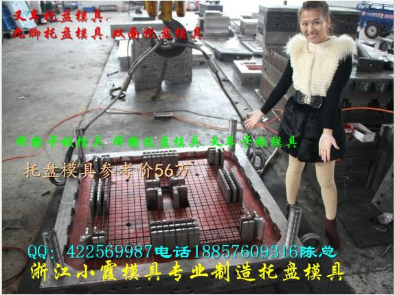供應(yīng)米塑膠田子托盤模具1x1生產(chǎn)