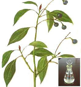 供應(yīng)醫(yī)用*油報(bào)價(jià)，醫(yī)用*油廠家直銷價(jià)錢，醫(yī)用*油廠家直銷價(jià)格