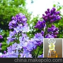 供應(yīng)丁香油哪里的好 湖北丁香油哪里的好