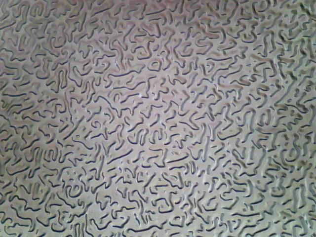 花紋鋁板圖片/花紋鋁板樣板圖 (3)