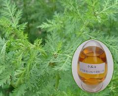 廠家直供原料青蒿油圖片