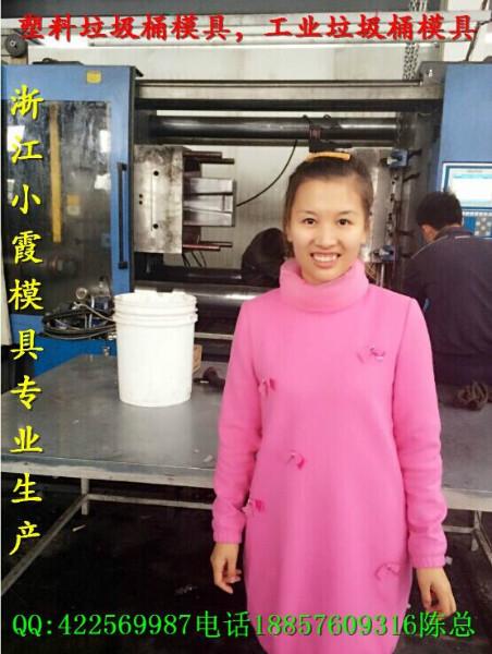 注塑模具圖片/注塑模具樣板圖 (4)