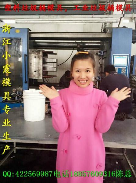 注塑模具圖片/注塑模具樣板圖 (2)