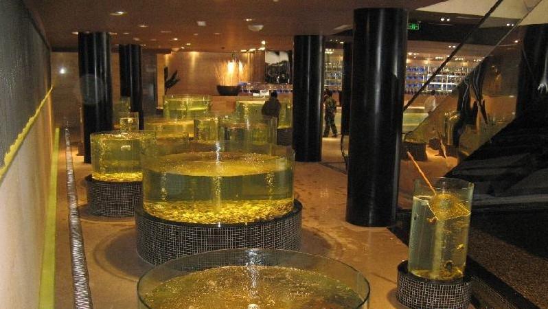 供應(yīng)海鮮魚池定做海鮮魚池設(shè)計過濾系統(tǒng)