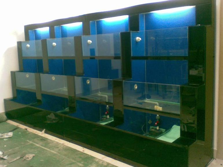 供應(yīng)海鮮魚池定做海鮮魚池設(shè)計過濾系統(tǒng)