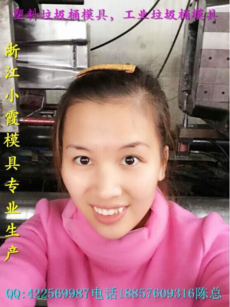 供應(yīng)臺(tái)州注塑模具工業(yè)垃圾桶塑料模具