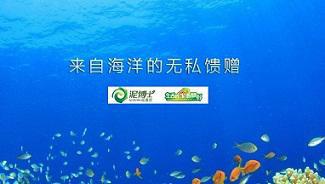 光觸媒在泥博士硅藻泥上的應(yīng)用圖片