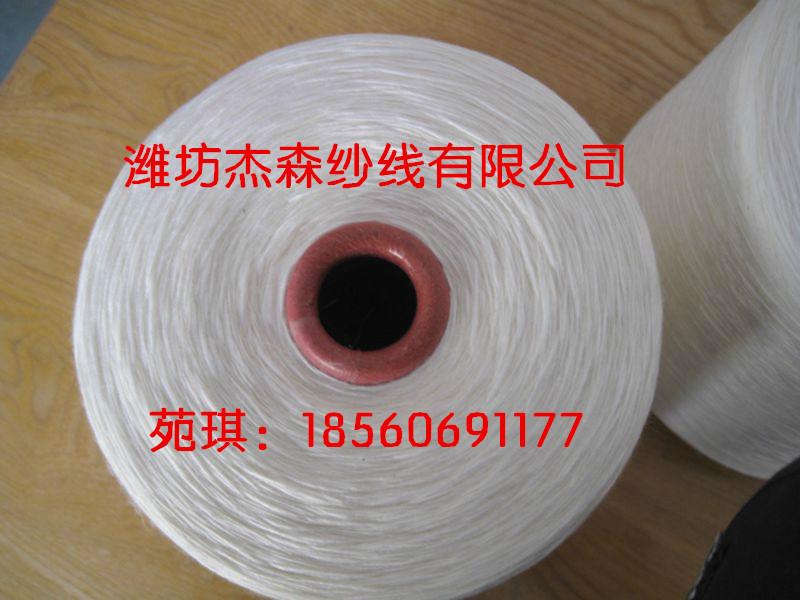 滌棉紗T65/C35配比3支6支7支8支圖片