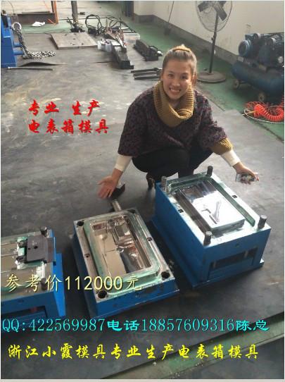 供應定制一套PC電表箱模具要多少錢