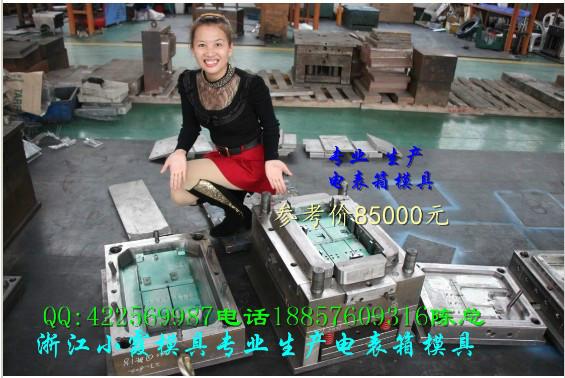 供應(yīng)18表位塑料電表箱模具制造生產(chǎn)