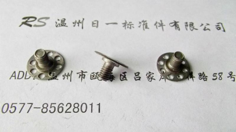 供應(yīng)沖孔螺絲圓帶孔螺絲非標(biāo)螺絲