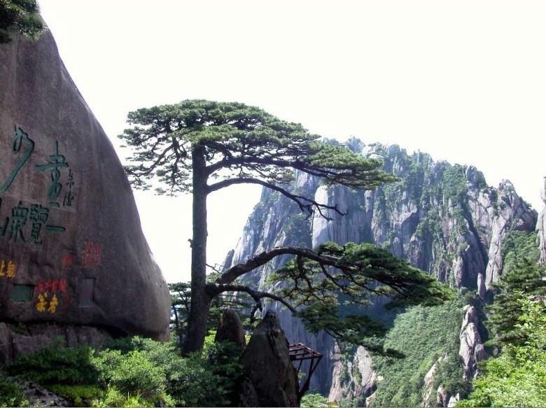 供應 深圳到黃山旅游路線 安徽黃山旅游報價 節(jié)假日宏村游景德鎮(zhèn)旅游線
