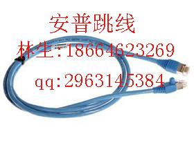 供應(yīng)佛山安普超五類跳線批發(fā)/佛山安普超五類跳線代理/佛山安普超五類跳線