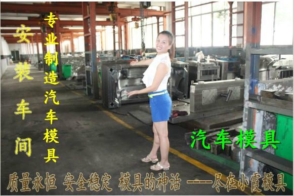 供應塑料模具汽配塑料中網模具