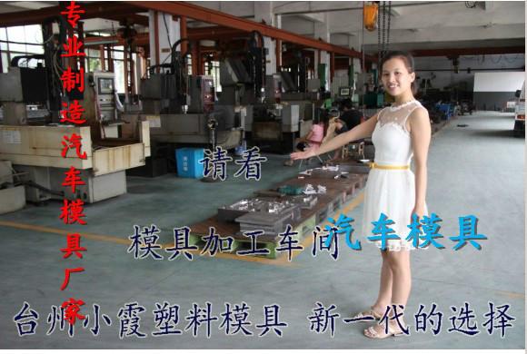 供應(yīng)汽車塑膠車燈模具模具廠