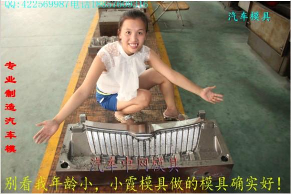 注塑保險(xiǎn)杠模具圖片/注塑保險(xiǎn)杠模具樣板圖 (2)