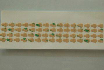 供應(yīng)特價(jià)供應(yīng)3M雙面膠帶模切沖型