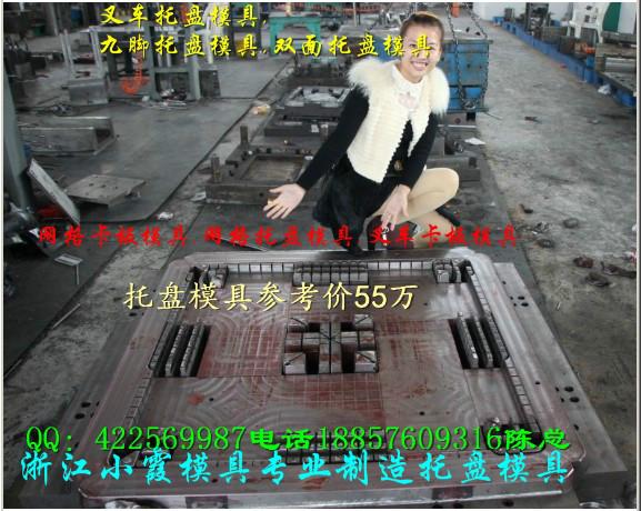 供應(yīng)網(wǎng)格雙層托盤模具注塑加工