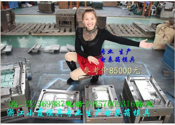 供應(yīng)浙江注射模具13表位電表箱塑料模具