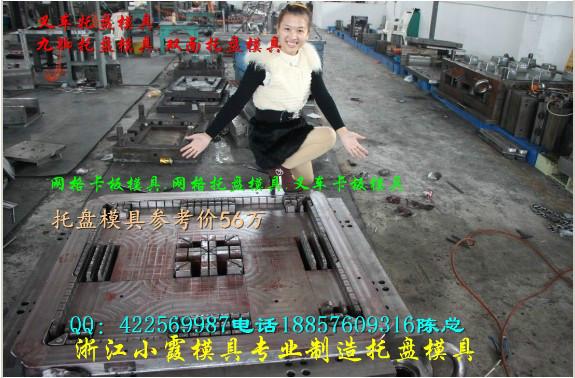 1米田子注塑托盤模具供應(yīng)商圖片