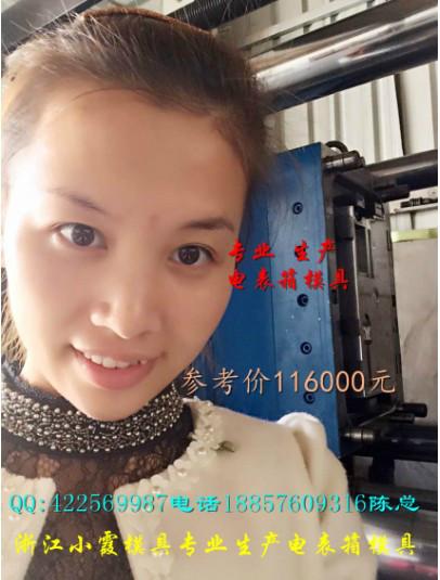 臺州注塑模具圖片/臺州注塑模具樣板圖 (4)