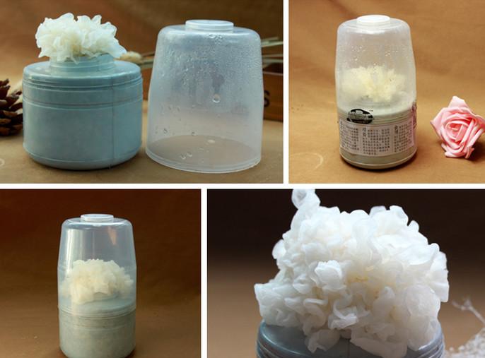 供應(yīng)出口級(jí)雪杉耳菌罐
