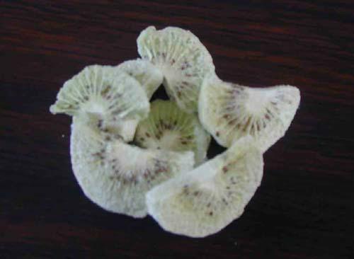 瓜果蔬菜真空冷凍干燥機 真空凍干機 技術(shù)咨詢13806475273王總