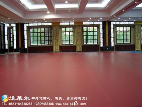 貴州塑膠地板圖片/貴州塑膠地板樣板圖 (2)