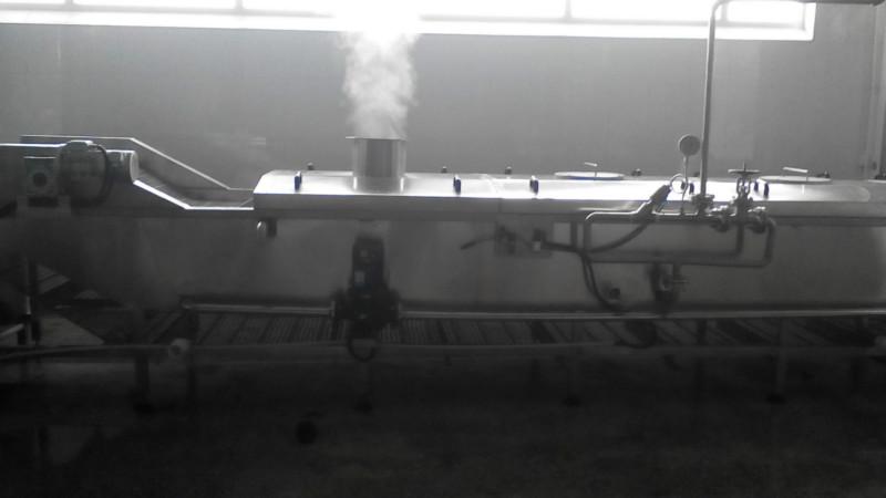 香椿芽殺菌設(shè)備圖片