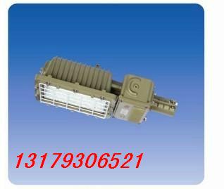 BAT53防爆泛光燈圖片/BAT53防爆泛光燈樣板圖 (2)