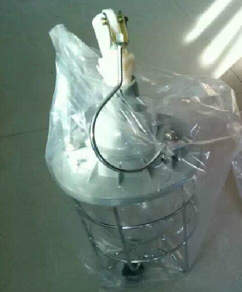 供應(yīng)BSX-60/100防爆行燈