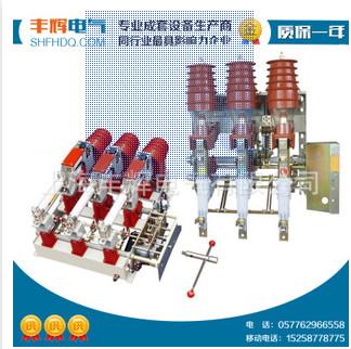 FKN12-12型高压气式负荷开关热线图片