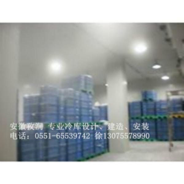 水果冷庫規(guī)格型號按需定做保鮮冷庫圖片