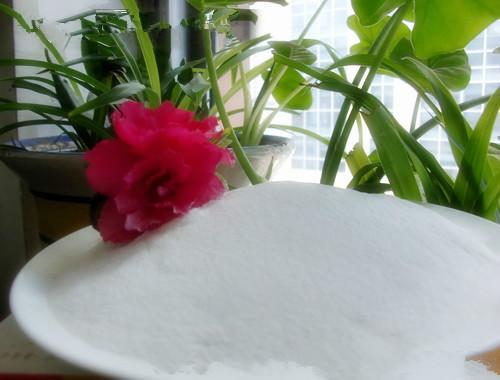 張家口火腿腸新原料圖片